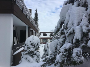 Appartement Skihang Möppis Hütte am Popenberg